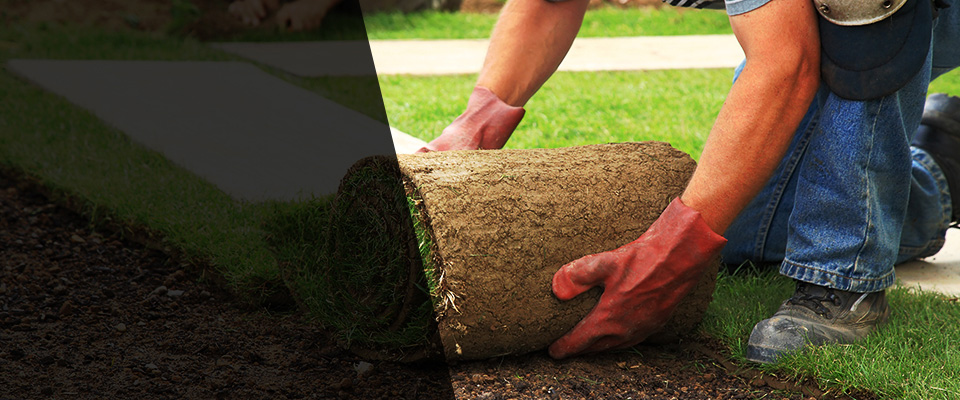 Brandon Landscapers